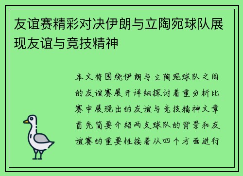 友谊赛精彩对决伊朗与立陶宛球队展现友谊与竞技精神