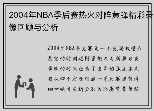 2004年NBA季后赛热火对阵黄蜂精彩录像回顾与分析