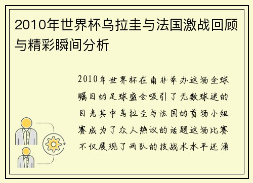 2010年世界杯乌拉圭与法国激战回顾与精彩瞬间分析