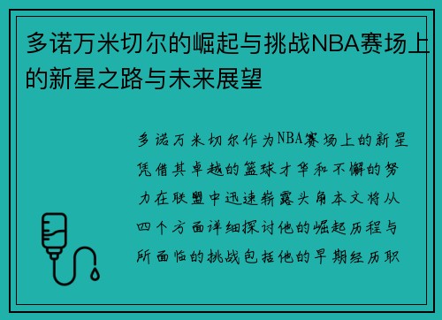 多诺万米切尔的崛起与挑战NBA赛场上的新星之路与未来展望