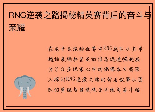 RNG逆袭之路揭秘精英赛背后的奋斗与荣耀