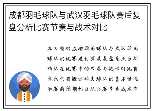 成都羽毛球队与武汉羽毛球队赛后复盘分析比赛节奏与战术对比